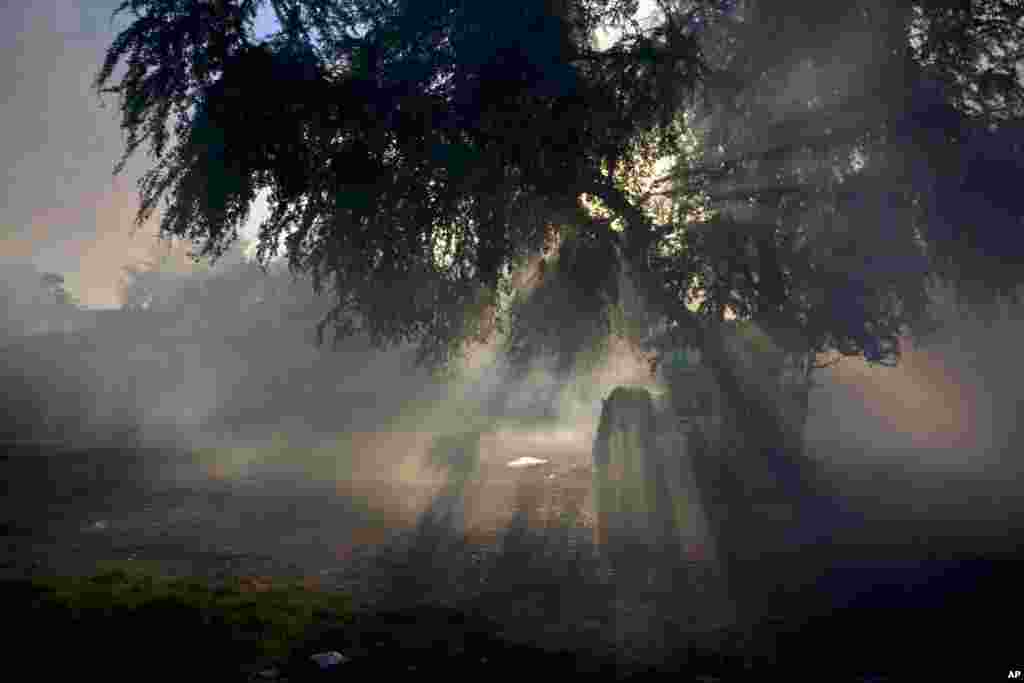 A horse grazes amid fumigation fog, released to kill Aedes Aegypti mosquitos, in Pinar del Rio, Cuba, March 1, 2016.