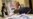 Ukraine Awaits Results of Controversial Election