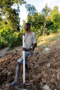 Farmhand Celavi Belor, 41, a father of five children, pauses from work in Jean-Rabel, Haiti, Jan. 31, 2020.