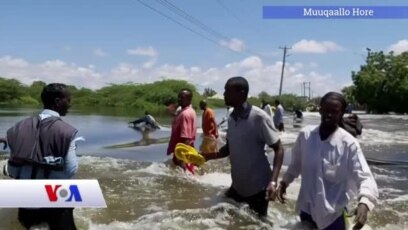 Qubanaha Maanta, May 03, 2020