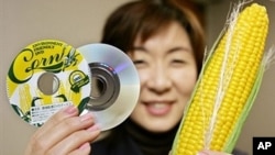 DVD disks made of vegetable-based plastic by Victor Company of Japan (JVC), in Tokyo (file)