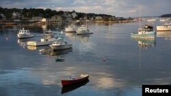 Lobster boats are moored in the harbor in Stonington, Maine, July 4, 2017. 