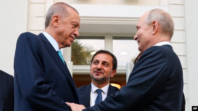 Erdoğan ve Putin Rusya'nın Karadeniz kıyısındaki Soçi kentinde görüşmüştü - 4 Eylül 2023