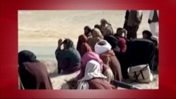 د ډیوه د روانو چارو خپرونه په ټي وي
