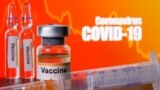 Coronavirus vaccine