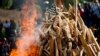 2,000 Tusks Burned to Protest Poached Wildlife Goods