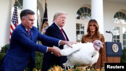 El presidente Trump perdonó al pavo "Mantequilla" el martes en la Casa Blanca, como es tradición cada año en EE.UU. para Acción de Gracias. 