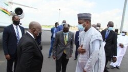 Tieoule Djigui, Sidibe felaw Mali politiki geleyaw kan