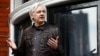 Court Filing Hints US Has Charged Wikileaks’ Assange