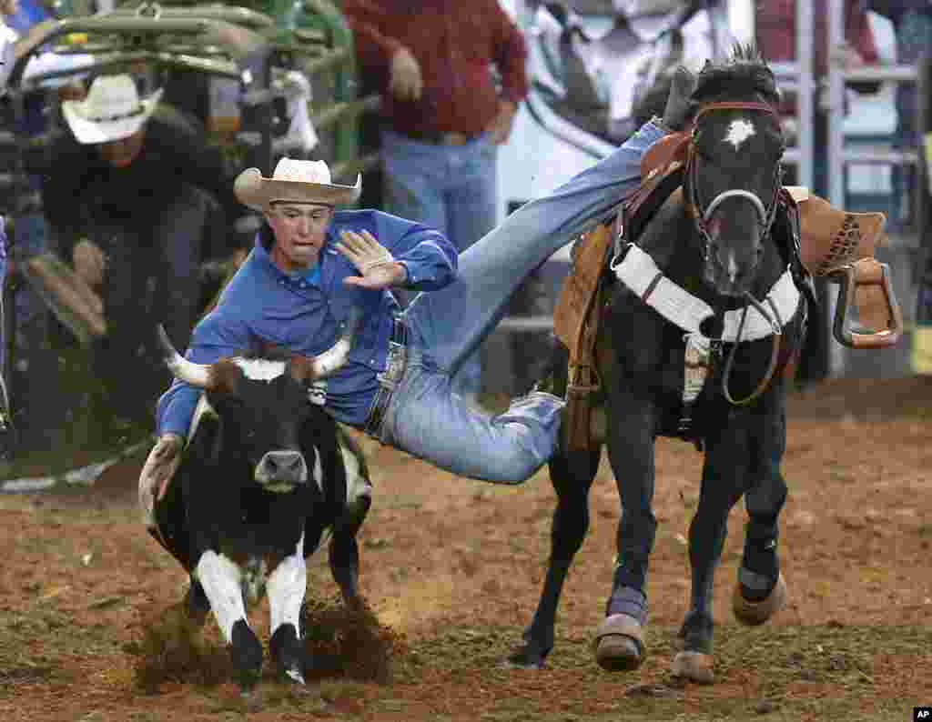 David Crawford, of Kiowa, Colorado jumps off his horse to capture a steer in the steer wrestling competition at the International Finals Youth Rodeo in Shawnee, Oklahoma, July 10, 2013. 