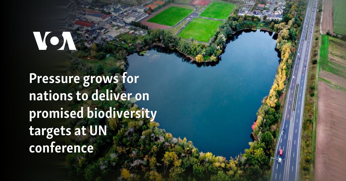 Pressure grows for nations to deliver on promised biodiversity targets at UN conference