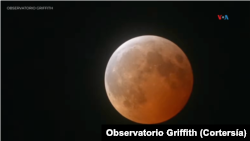 Vista del eclipse lunar este jueves 13 de marzo y madrugada del 14 de marzo de 2025. [Foto: NASA]