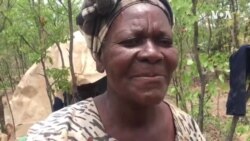 Magadalene Dube: We Are Facing Torrid Time in Harvesting Macimbi