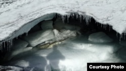 Glacier at Uganda’s Rwensori Mountains