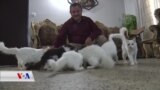 بایەخدانی چالاکوانێکی موسڵ بە ئاژەڵان
