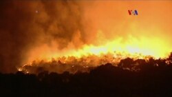 Dispositivo contra incendios forestales