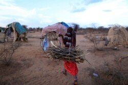 FILE - An internally displaced woman from a drought hit area carries firewood for cooking near her shelter at a makeshift settlement in Dollow, Somalia, Apr. 5, 2017.