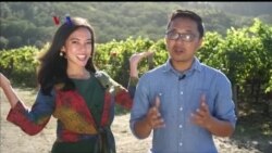 Apa Kabar Amerika: Menengok Industri Anggur di Napa Valley, California