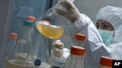 A scientist works on the development of Abdala, an experimental vaccine for COVID-19, at the Center for Genetic Engineering and Biotechnology (CIGB) in Havana, Cuba.