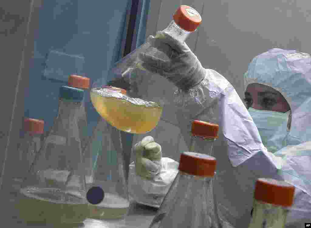 A scientist works on the development of Abdala, an experimental vaccine for COVID-19, at the Center for Genetic Engineering and Biotechnology (CIGB) in Havana, Cuba.