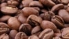 Kim ngạch xuất khẩu cà phê của Việt Nam tăng kỷ lục trong năm 2011