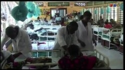 Ըստ ԱՀԿ-ի՝ COVID-19-ի պատճառով 2020-ին մալարիայից մահացության դեպքերը ավելացել են 69,000-ով