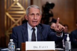 FILE - Top infectious disease expert and President Biden's chief medical adviser Dr. Anthony Fauci testifies before a Senate committee, on Capitol Hill in Washington, July 20, 2021.
