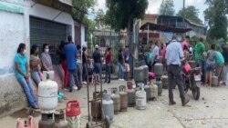 Tala indiscriminada por escasez de gas amenaza parques nacionales de Venezuela (afiliadas)