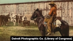 FILE - Cowboy throwing lasso, between 1898 and 1905. (Library of Congress)