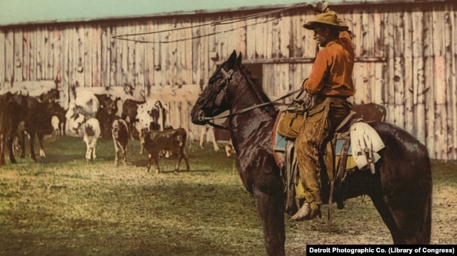 FILE - Cowboy throwing lasso, between 1898 and 1905. (Library of Congress)