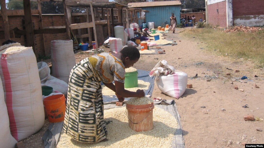 Maize rationing has forced private traders like these women to increase their prices, Karonga, Malawi. (Tiwonge Kumwenda/VOA)