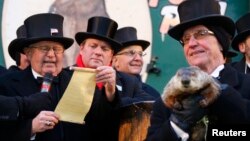 Groundhog co-handler Ron Ploucha (R) holds Punxsutawney Phil as the Groundhog Club's Bob Roberts (L) reads the famous groundhog's annual weather prediction on Gobbler's Knob in Punxsutawney, Pennsylvania, on the 127th Groundhog Day, Feb. 2, 2013. 