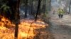 Australia Belum Berhasil Atasi Kebakaran Hutan