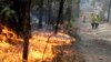 Petugas menyeret selang air untuk berusaha memadamkan kebakaran hutan di Bendalong, Australia (3/1).
