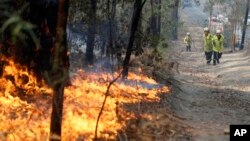 Petugas menyeret selang air untuk berusaha memadamkan kebakaran hutan di Bendalong, Australia (3/1).
