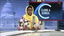 Caawa iyo Dunida