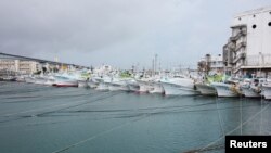 漁船在颱風浣熊襲來之前用纜索固定在沖繩南部那霸的泊港。(2014年7月7日)