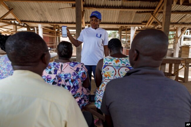 Rita Quansah, center, from Uniti Networks, coaches farmers on how to navigate its platform of application, from pensions that encourage saving to agriculture apps, at a market in Hohoe, Ghana, Wednesday, April 18, 2024. (AP Photo/ Misper Apawu)