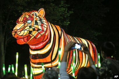 Giant tiger store lamps