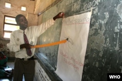 FILE - In Malawi, children learn about malaria and mosquitoes in school classes. A teacher explains about mosquitoes and malaria.