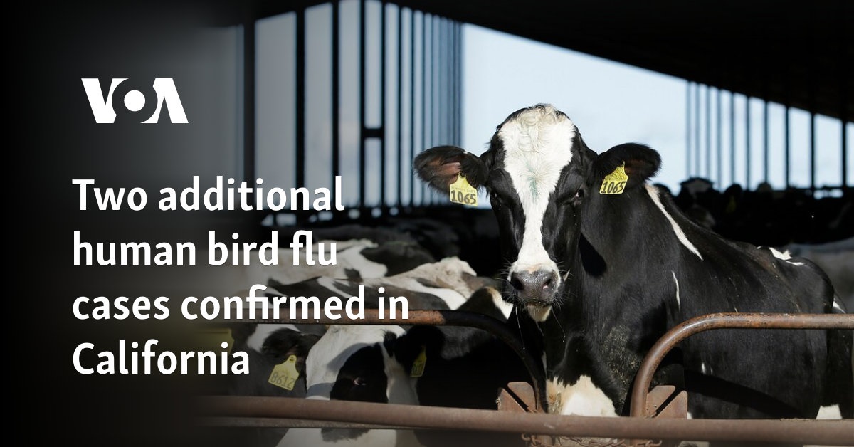 Two additional human bird flu cases confirmed in California 