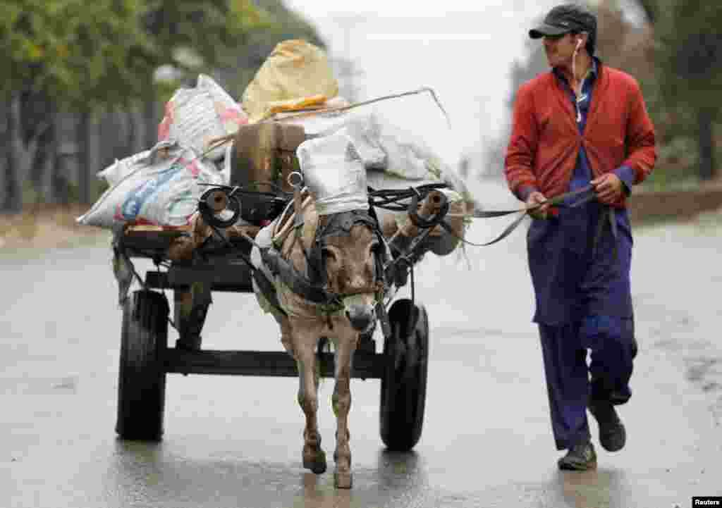 بارشوں سے جہاں بہت سے افراد کو مختلف مسائل اور پریشانیوں کا سامنا کرنا پڑتا ہے وہیں کچھ لوگ اس صورت حال سے بھی خوب لطف اندوز ہوتے ہیں۔ اسلام آباد کی شاہراہ پر گدھا گاڑی چلانے والا نوجوان بارش میں لطف لیتے ہوئے اپنے کام میں مصروف ہے۔ 