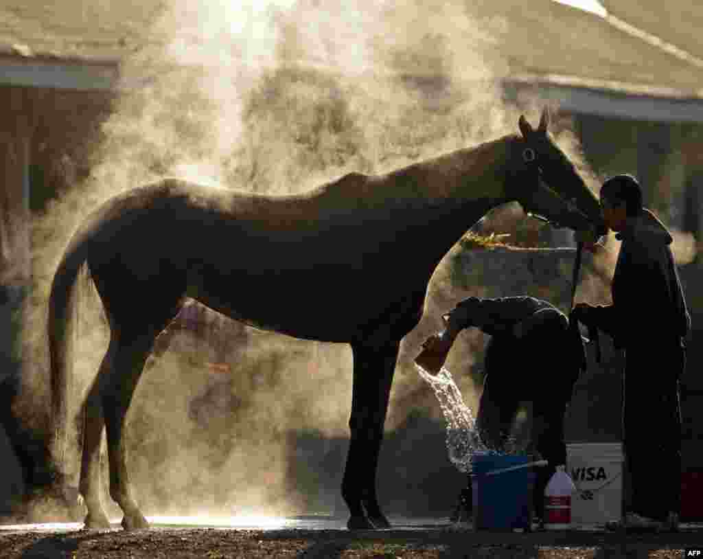 May 5; Steam rises off a horse as it gets a bath after a morning workout at Churchill Downs in Louisville, Kentucky. The Kentucky Derby takes place May 6 and 7. (AP Photo/Charlie Riedel)
