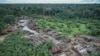 Brazil Green Groups Prepare Climate-Change Contingency Plan