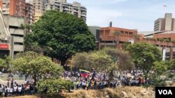 加拉加斯街头的反马杜罗抗议者。(2019年5月1日)