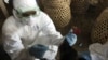 Bird Flu Studies, Halted Over Terrorism Fear, to Resume