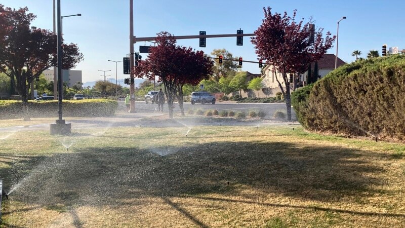 Las Vegas Plans to Ban Useless Grass