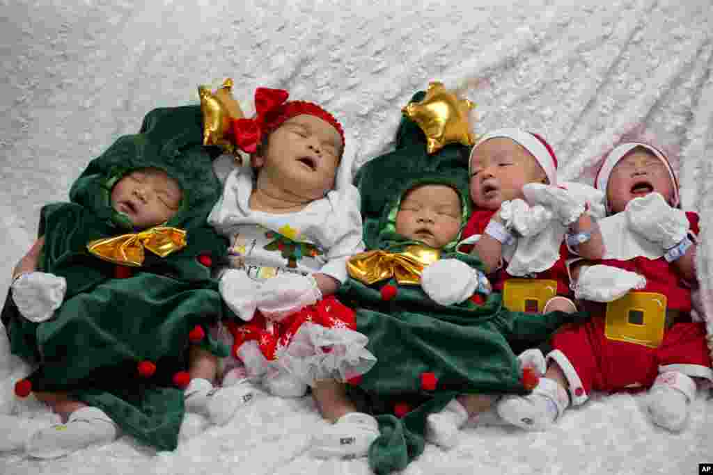 Newborns dressed in Santa and Christmas tree outfits to mark holiday season sleep at Paolo memorial hospital in Bangkok, Thailand.