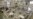Russian Detainee Dies in US Immigration Custody