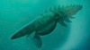 Gigantic Ancient Arthropod Was Really 'A Very Peaceful Guy'